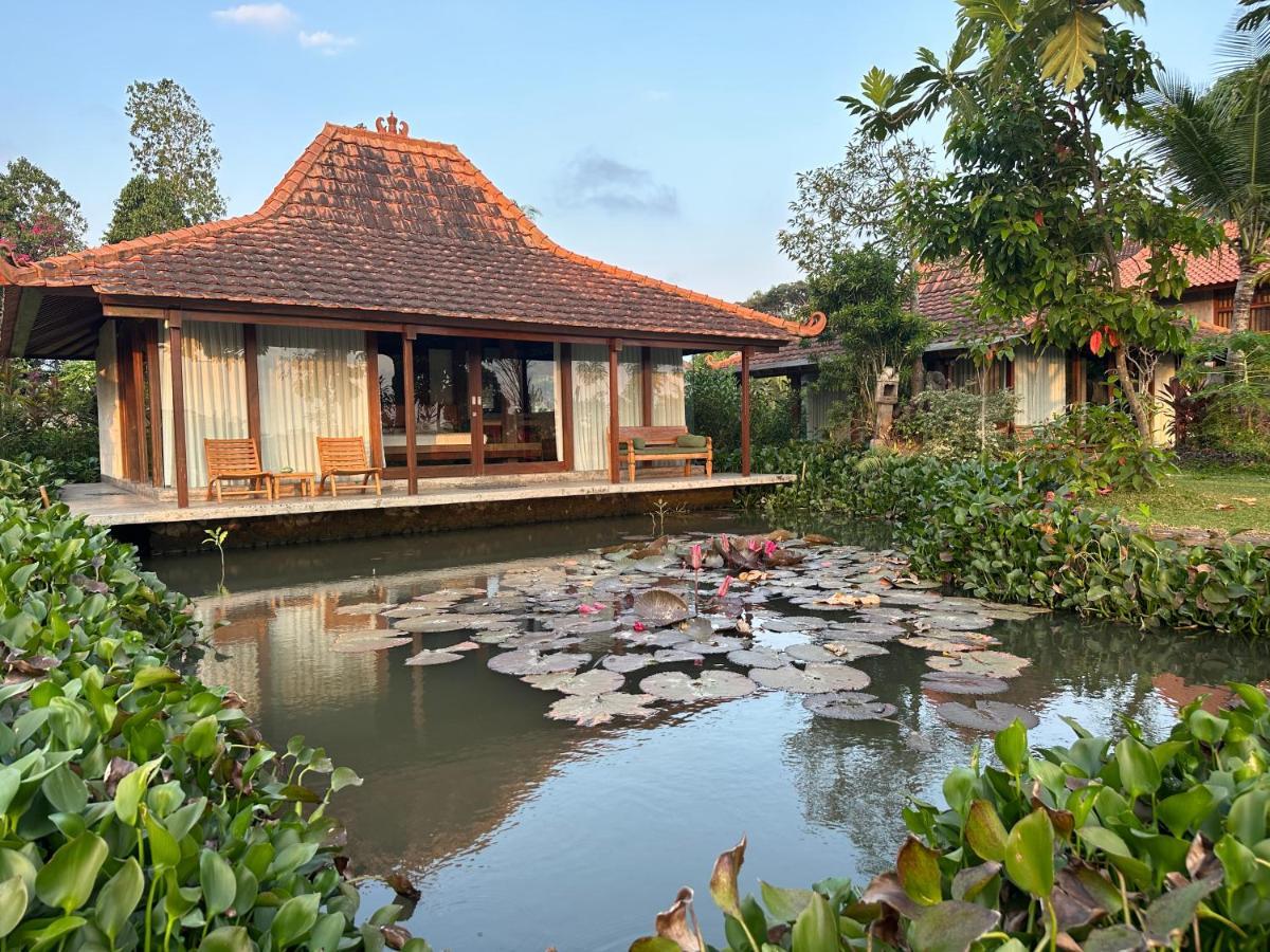 Griya Kcb Villa 乌布 外观 照片