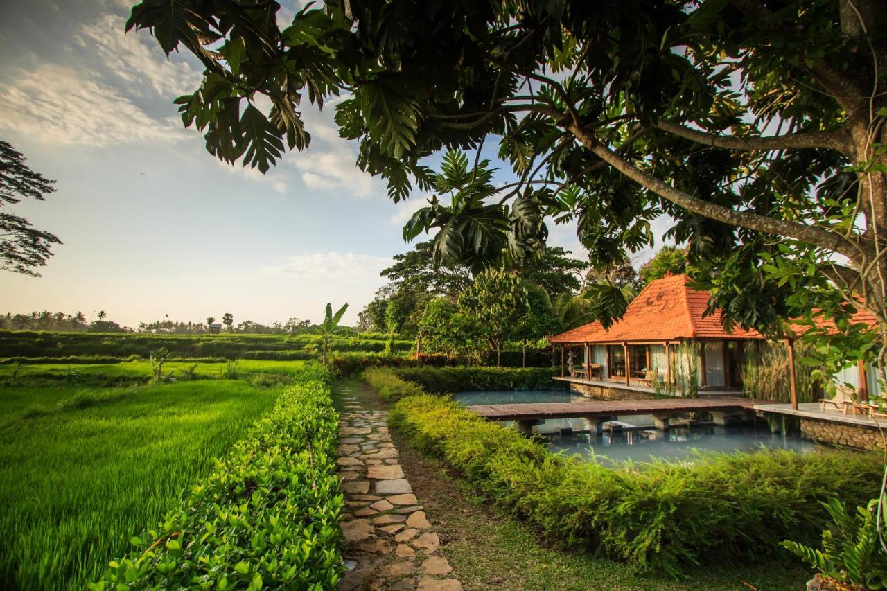 Griya Kcb Villa 乌布 外观 照片