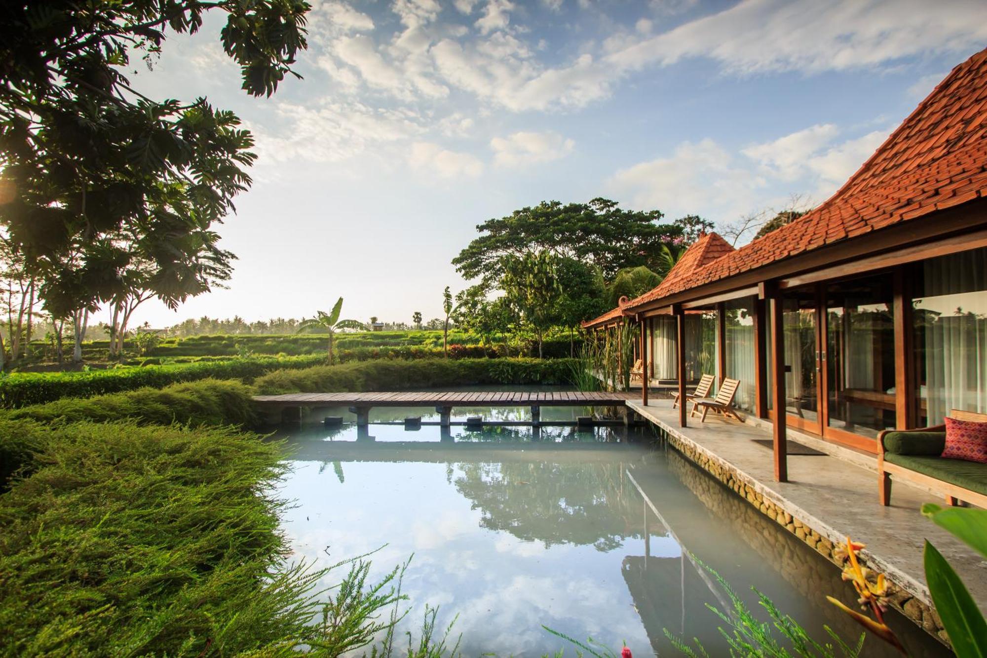 Griya Kcb Villa 乌布 外观 照片